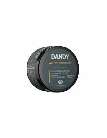 DANDY WATER POMADE CERA PER CAPELLI E BARBA 100 ML