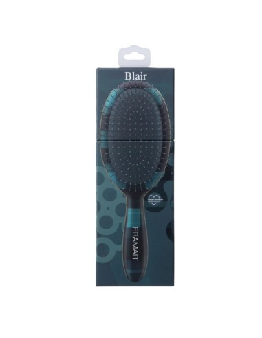 Framar detangle brush Plaid hair day Blair
