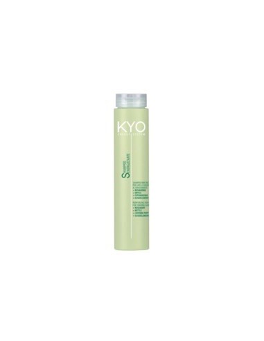 KYO ENERGY SYSTEM SHAMPOO RINFORZANTE...