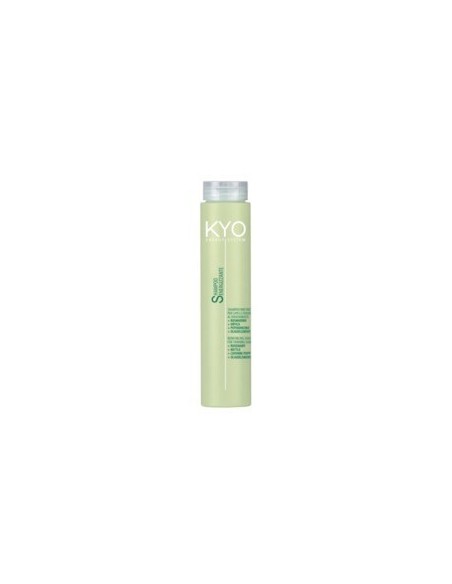 KYO ENERGY SYSTEM SHAMPOO RINFORZANTE 250 ML