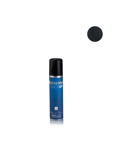 LABOR SPRAY RITOCCO RICRESCITA NERO PERFECT TOUCH UP 75 ML