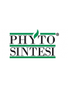 Phyto sintesi